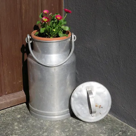 Dom wakacyjny Rosswangen