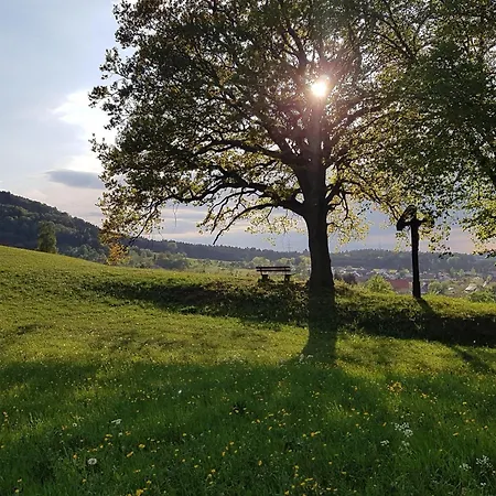 度假居 Rosswangen